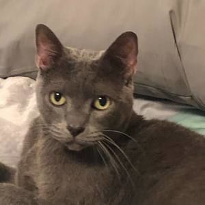 Meet your Posher, Alanna